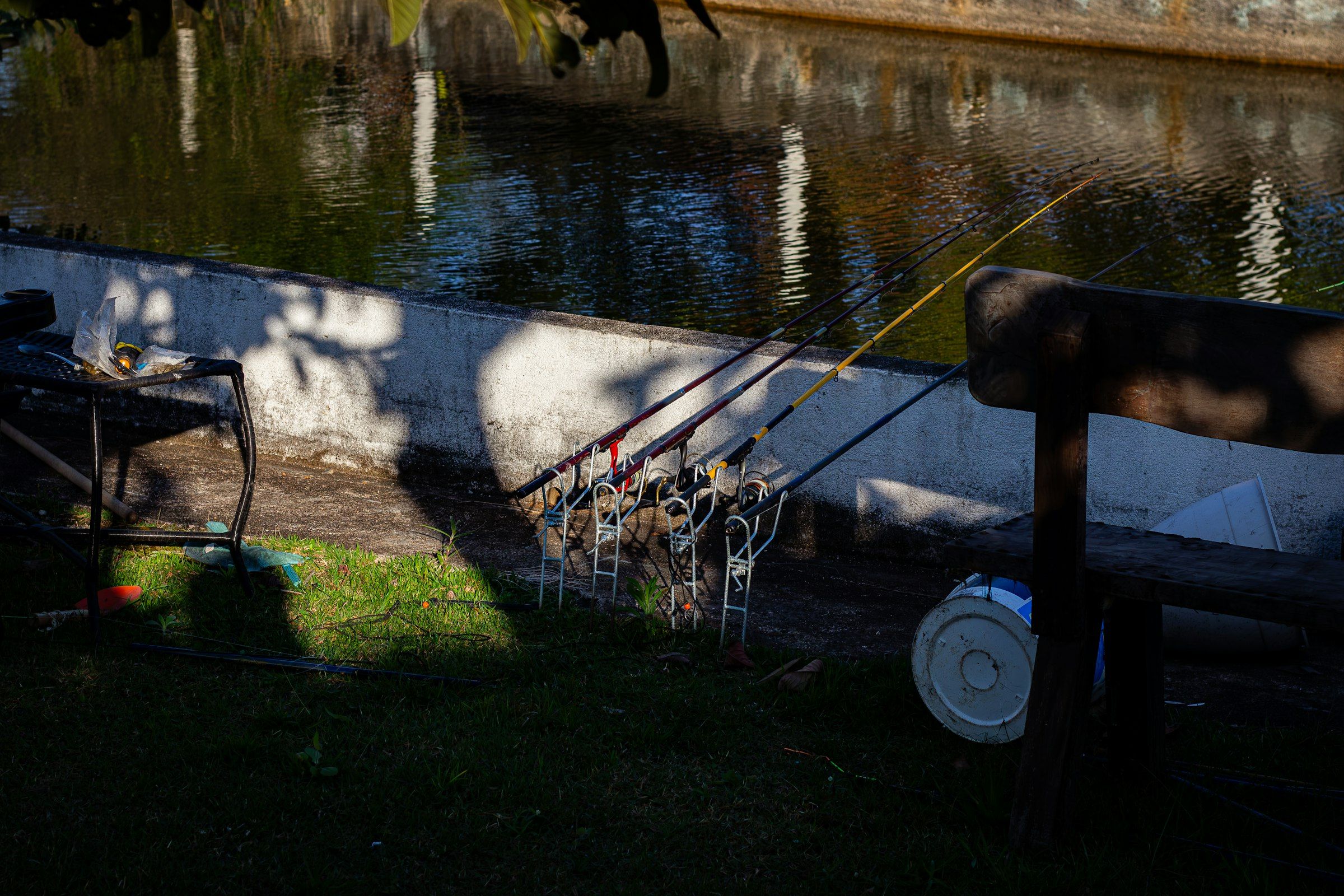Tre canne da pesca sui supporti, in fila sull'erba accanto alla sponda di cemento di uno specchio d'acqua calmo.